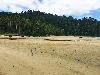 Agricultural-Beach Lot in San Vicente, Palawan for Sale